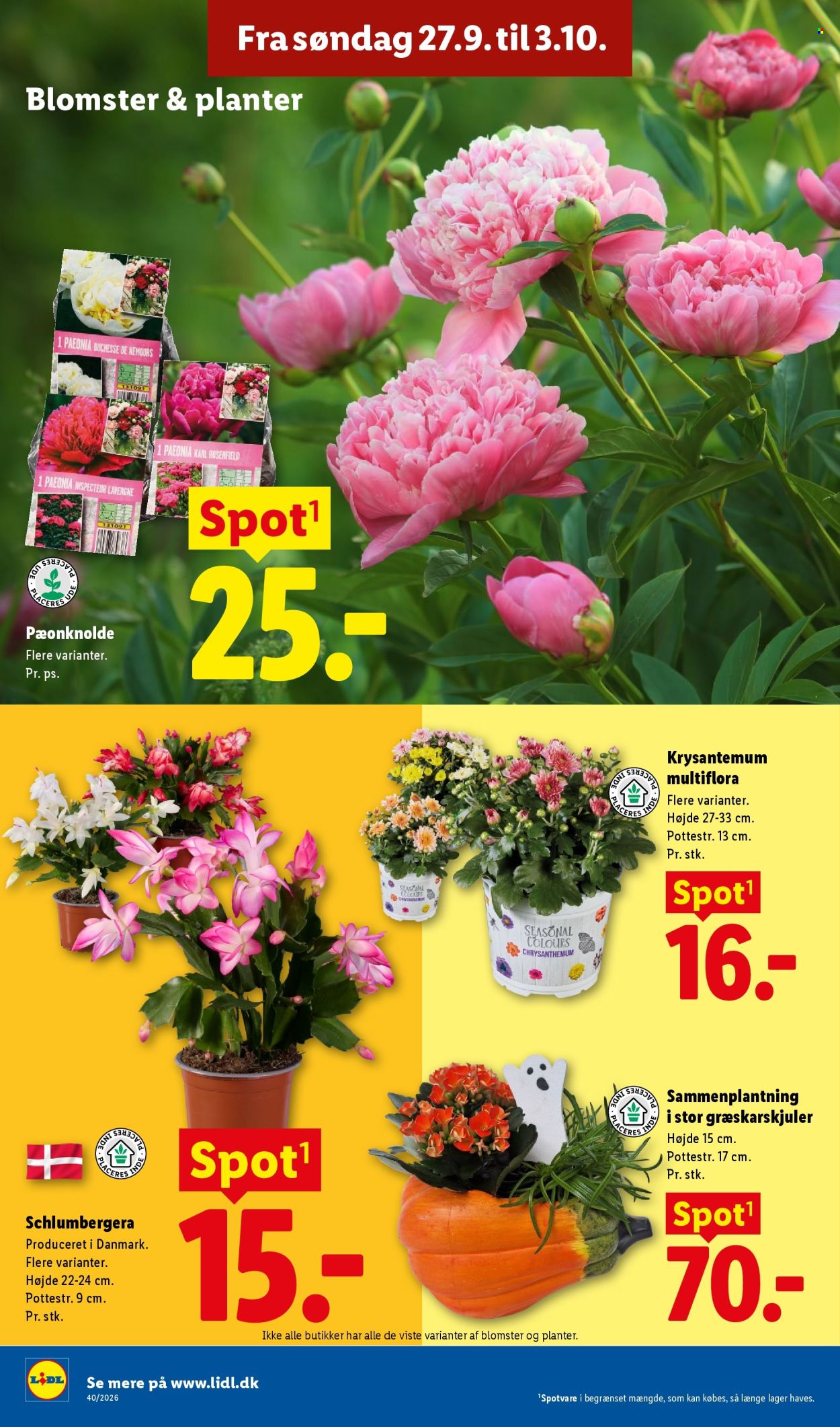 Lidl tilbud - 27.9.2026 - 3.10.2026. Side 34