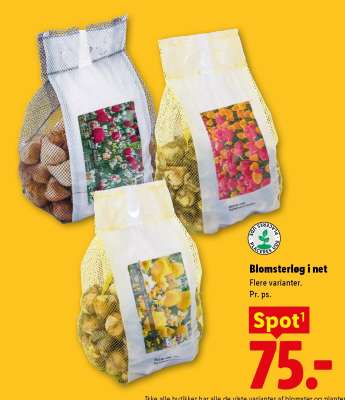 Blomsterløg i net