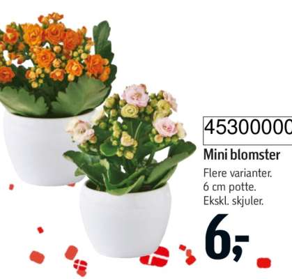 Mini blomster