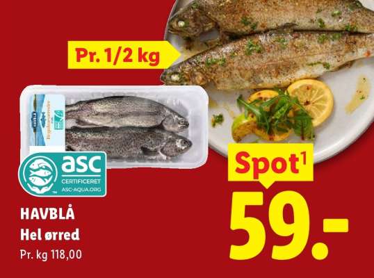 HAVBLÅ Hel ørred