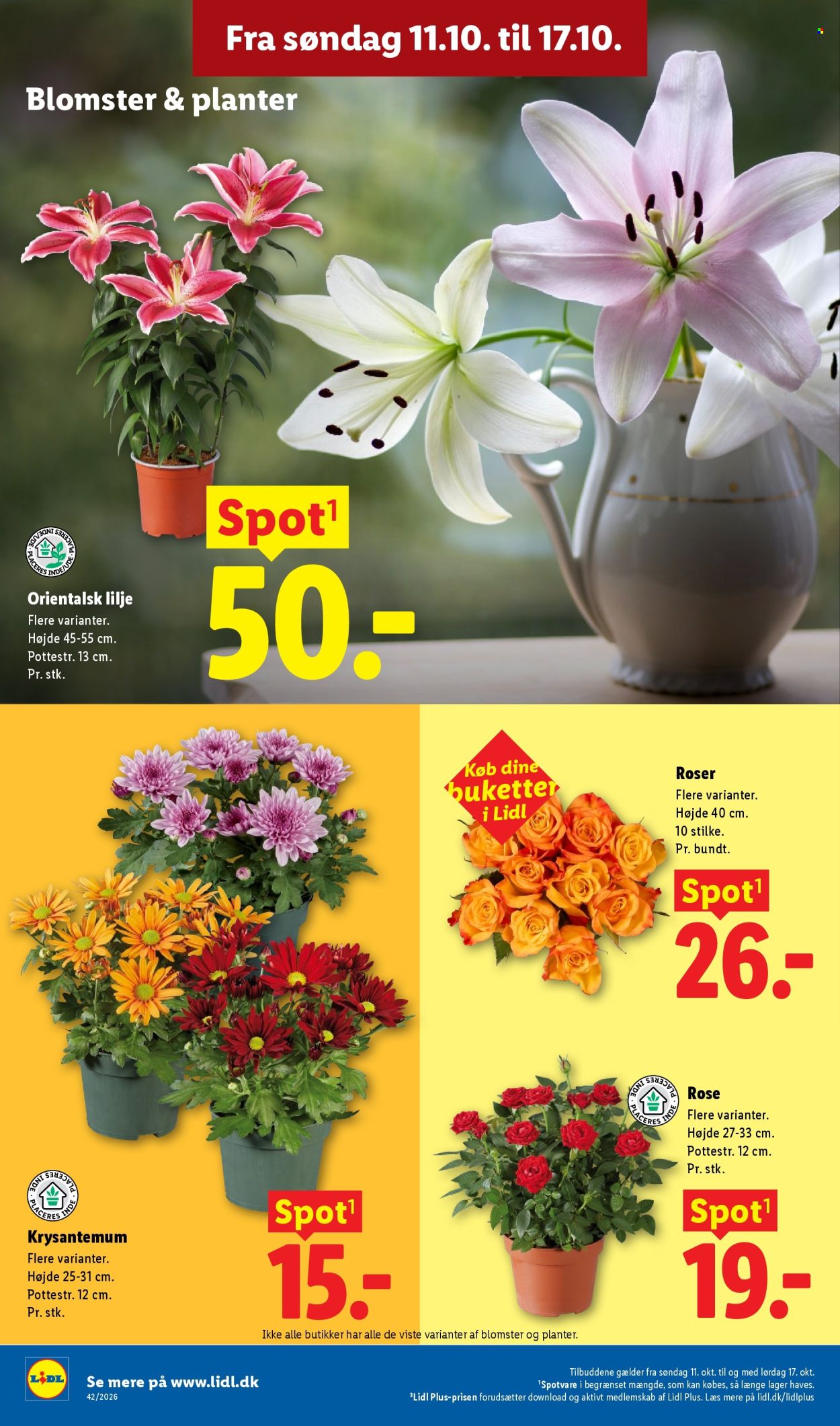 Lidl tilbud - 11.10.2026 - 17.10.2026. Side 34