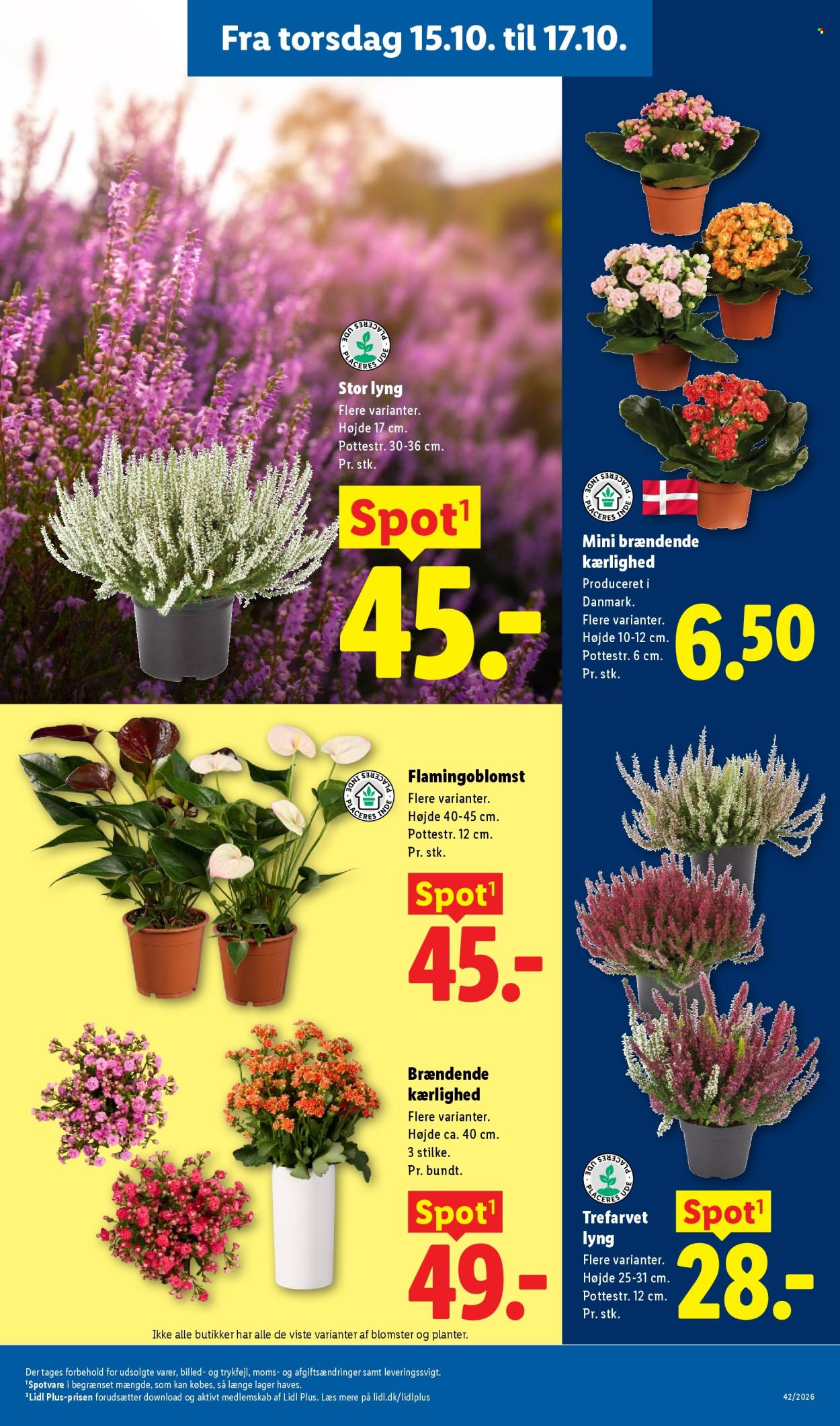 Lidl tilbud - 11.10.2026 - 17.10.2026. Side 35
