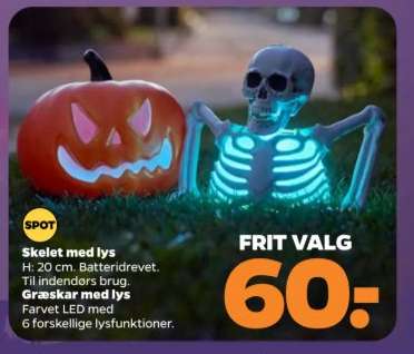 Skelet med lys / Græskar med lys