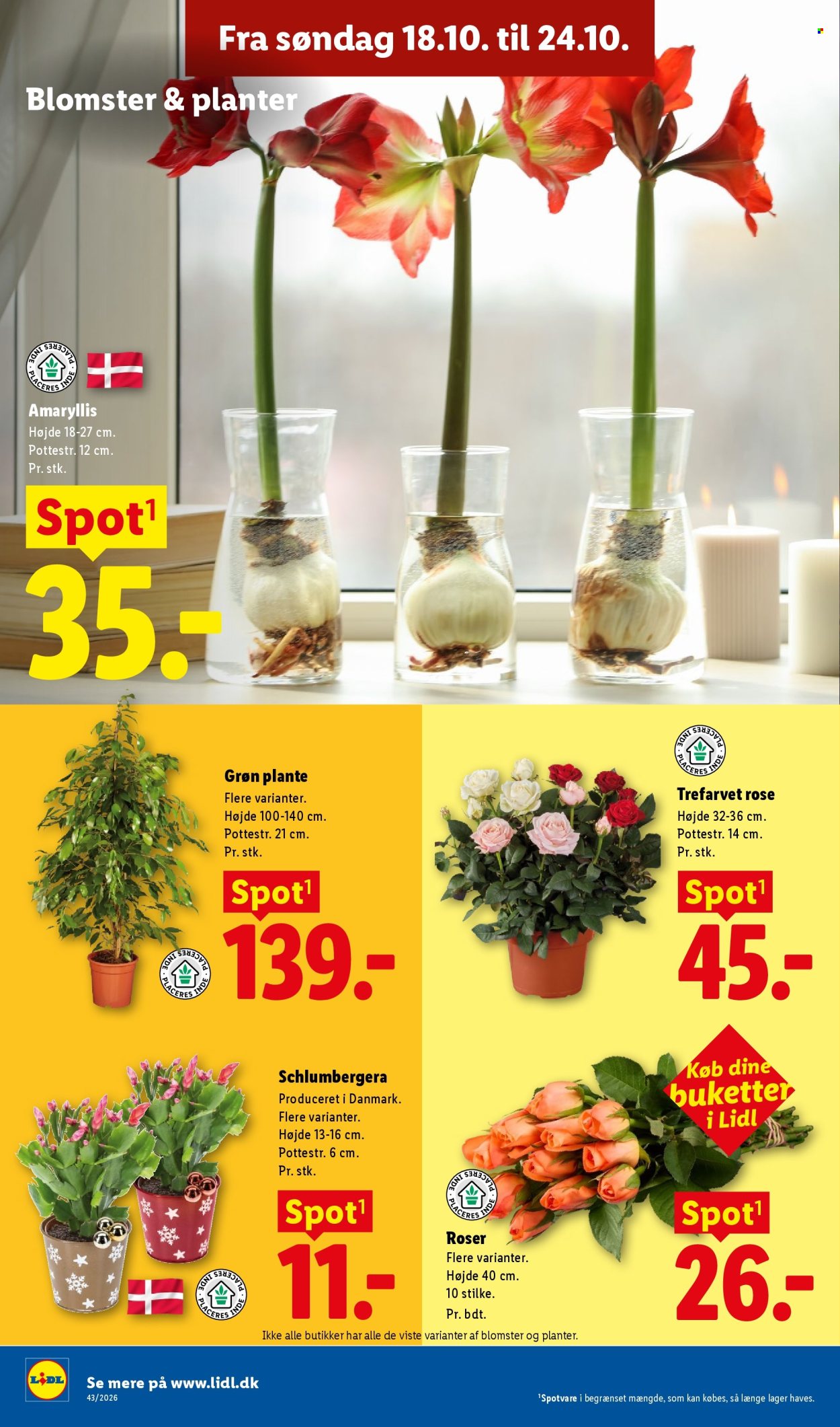 Lidl tilbud - 18.10.2026 - 24.10.2026. Side 31
