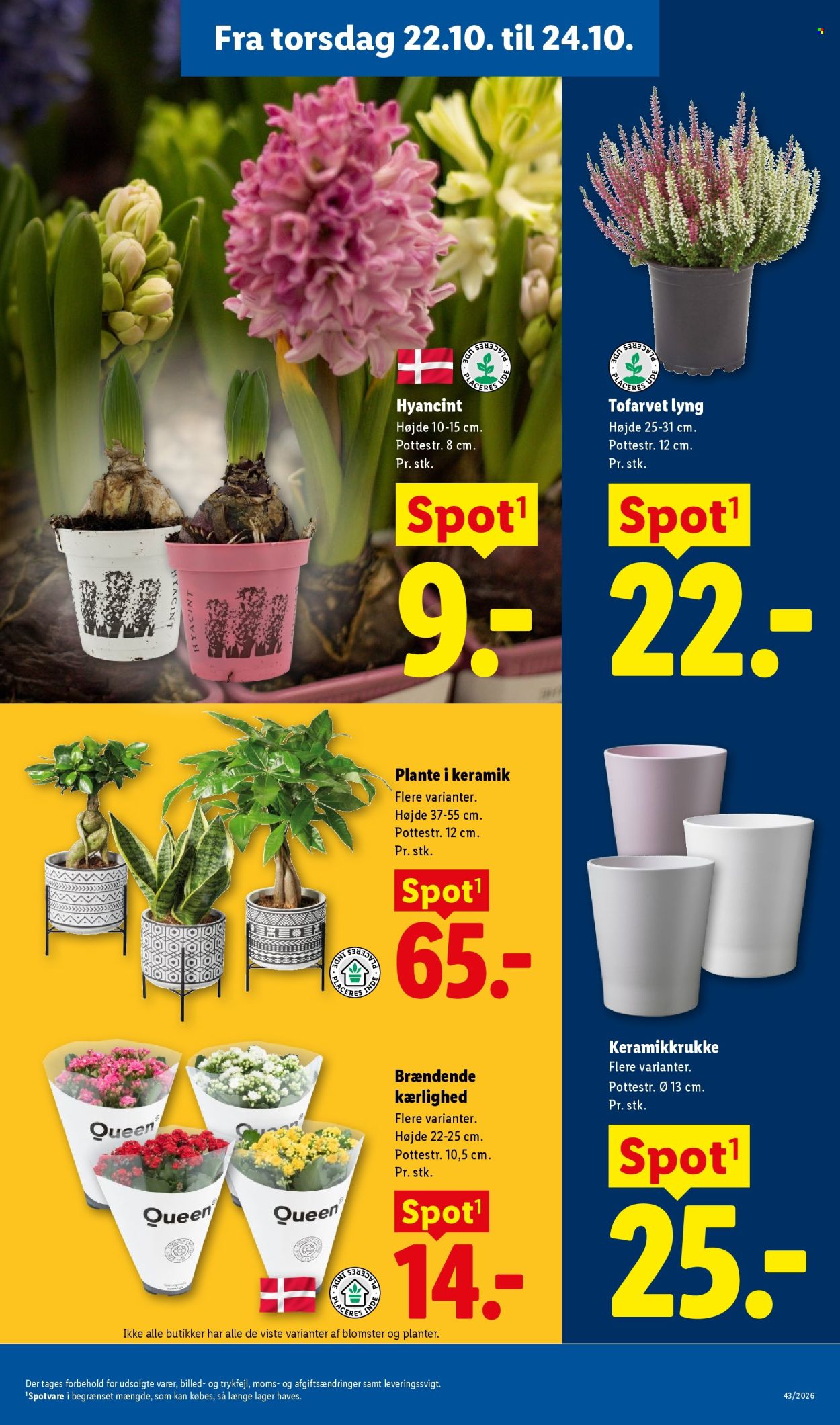 Lidl tilbud - 18.10.2026 - 24.10.2026. Side 32