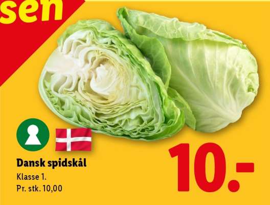 Dansk spidskål