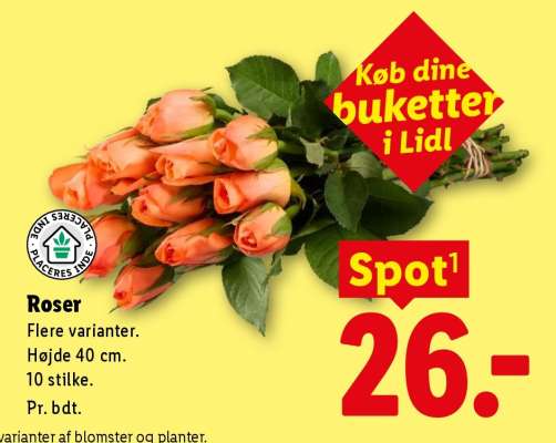 Roser