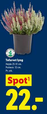 Tofarvet lyng