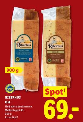 Riberhus Ost